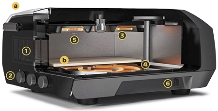 radiografía-ooni-volt